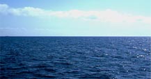 Offshore